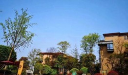 泸州碧桂园爆料最新消息,揭秘项目进展与未来规划