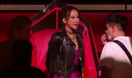 中国好声音导演爆料视频,幕后故事与精彩瞬间